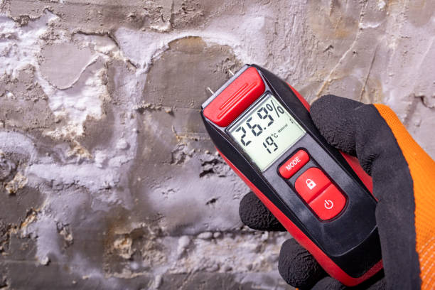 Best Residential Mold Remediation in Chester, VA