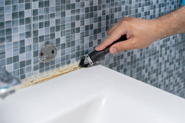 Best Localized Mold Remediation (e.g., coastal areas, humid climates) in Chester, VA