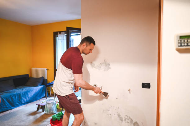 Best Commercial Mold Remediation in Chester, VA